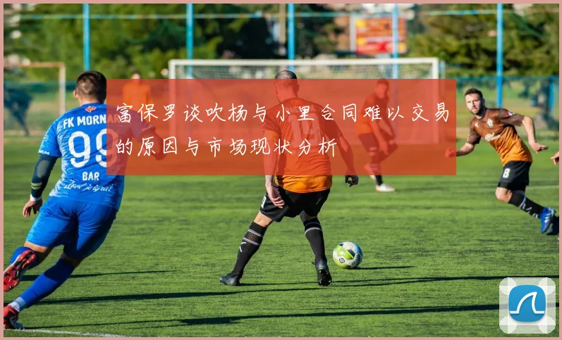 富保罗谈吹杨与小里合同难以交易的原因与市场现状分析