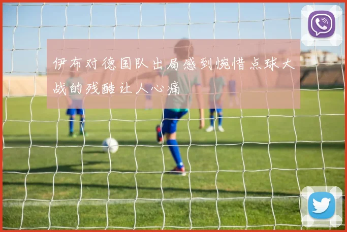 伊布对德国队出局感到惋惜点球大战的残酷让人心痛