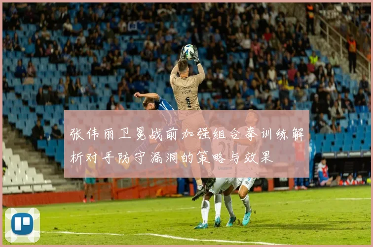 张伟丽卫冕战前加强组合拳训练解析对手防守漏洞的策略与效果