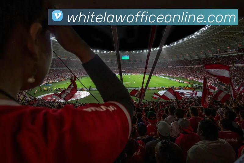 APP界面展示